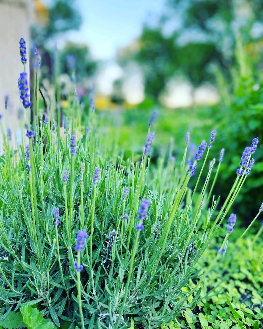 Of Preservation, Privation and Privilege 